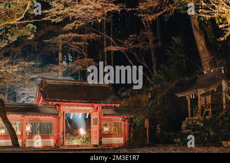 Kyoto, Japon - 26 novembre 2022 : vue nocturne du sanctuaire de Kifune à l'automne Banque D'Images