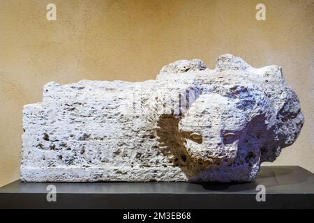 Fragments de sima (toit couronnant pour la collecte et le rejet d'eau de pluie) avec des eaux sous forme d'un lion protome du temple de contrada Mango (autour du milieu du 5th siècle avant J.-C.) - Parc archéologique de Segesta - Trapani, Sicile, Italie Banque D'Images