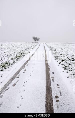 route enneigée avec traces de pneus Banque D'Images