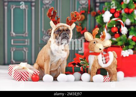 Chien renne de Noël. Bulldog français avec bandeau de costume et bois assis à côté de la décoration de Noël devant le mur vert Banque D'Images