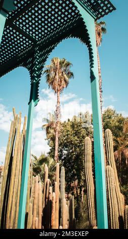 Un cliché vertical de grands cactus et palmiers derrière un bâtiment bleu marocain Banque D'Images