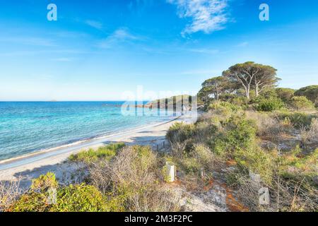 Vue remarquable sur les plages de Palombaggia et Tamaricciu. Destination de voyage célèbre. Lieu: Porto-Vecchio, Corse, France, Europe Banque D'Images