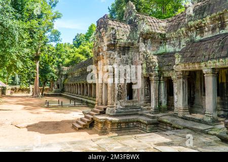 Les ruines antiques du temple de Ta Prohm à Angkor Wat, Cambodge. Banque D'Images
