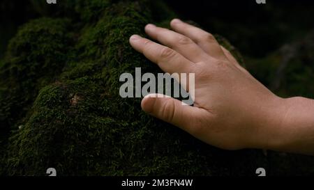 Mousse sur les pierres de la forêt. Créatif. Gros plan d'une main d'enfant touchant de la pierre douce recouverte de mousse verte dans les profondeurs de la forêt Banque D'Images