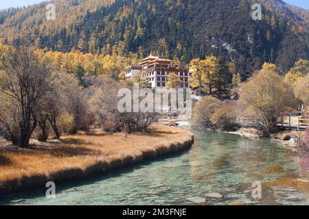 Prairie de Chongqing, Réserve naturelle nationale de Yading, Sichuan, Chine Banque D'Images