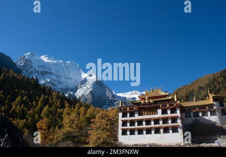 Réserve naturelle de Yading, Daocheng, Sichuan, Chine Banque D'Images