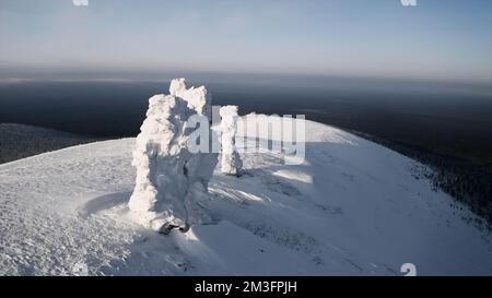 Vue aérienne en hiver des géants du plateau de Manpupuner, République de Komi. Attache. Monuments géologiques couverts de neige Banque D'Images