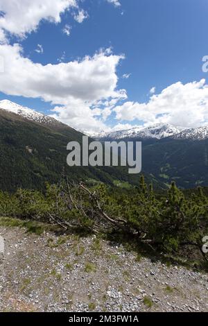 Un paysage dans la région de Bormio pendant un trekking d'été Banque D'Images