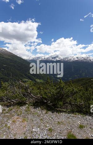 Un paysage dans la région de Bormio pendant un trekking d'été Banque D'Images