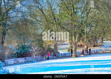 Glasgow, Écosse, Royaume-Uni 14th décembre 2022. Météo au Royaume-Uni : les températures glaciales ont vu le parc botanique commencer à ressembler beaucoup à Noël alors que les gens se sont emballés pour une promenade dans le parc célèbre pour sa serre de kibble et des pépinières de plantes pour les parcs de glasgow. Crédit Gerard Ferry/Alay Live News Banque D'Images