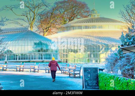 Glasgow, Écosse, Royaume-Uni 14th décembre 2022. Météo au Royaume-Uni : les températures glaciales ont vu le parc botanique commencer à ressembler beaucoup à Noël alors que les gens se sont emballés pour une promenade dans le parc célèbre pour sa serre de kibble et des pépinières de plantes pour les parcs de glasgow. Crédit Gerard Ferry/Alay Live News Banque D'Images