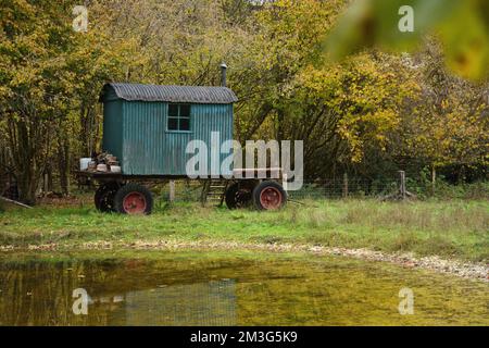 Hutte de bergers verts dans les bois à côté de l'eau Banque D'Images