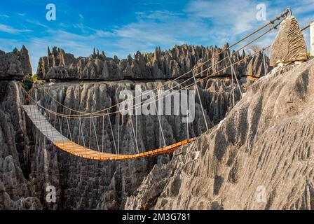 Pont suspendu au-dessus des Tsingys dans la vue du patrimoine mondial de l'UNESCO Tsingy de Bemaraha strict nature Reserve, Madagascar, Océan Indien Banque D'Images