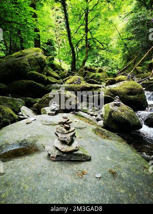 Un cliché vertical des petites tours de pierres dans la forêt tropicale Banque D'Images