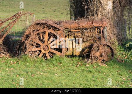 Vieux tracteur de Fordson vieux abandonné en rouille, surcultivé avec des mauvaises herbes et des brambles mais attrayant, Royaume-Uni Banque D'Images