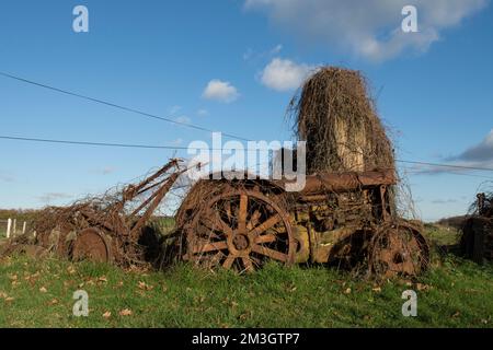 Vieux tracteur de Fordson vieux abandonné en rouille, surcultivé avec des mauvaises herbes et des brambles mais attrayant, Royaume-Uni Banque D'Images