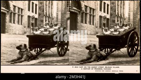 Chariot à lait sur la rue du marché, village belge, chariots et wagons, chiens, Century of Progress exposition internationale 1933-1934 : Chicago, Illinois. Banque D'Images