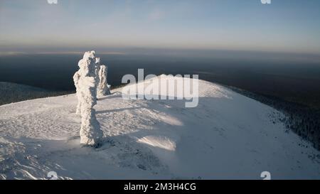 Vue sur la montagne en hiver depuis une vue plongeante. Clip.grandes montagnes sous la neige et la glace sur une montagne enneigée et une forêt verte avec de grands arbres est visible b Banque D'Images