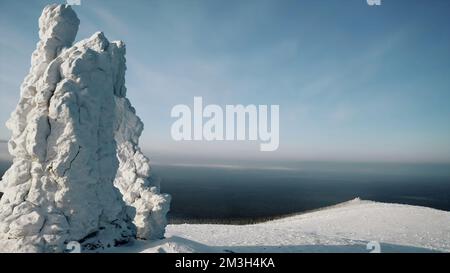 Vue sur la montagne en hiver depuis une vue plongeante. Clip.grandes montagnes sous la neige et la glace sur une montagne enneigée et une forêt verte avec de grands arbres est visible b Banque D'Images