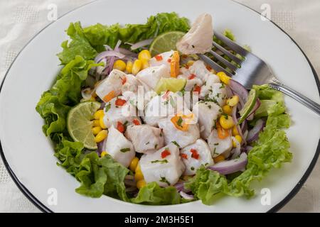 Détail de ceviche, plat typique à base de poisson de la cuisine péruvienne. Banque D'Images