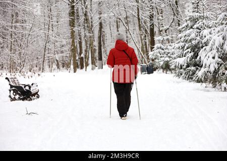 Femme avec des bâtons marche dans le parc d'hiver sur fond d'arbres couverts de neige. Marche nordique par temps froid, mode de vie sain Banque D'Images