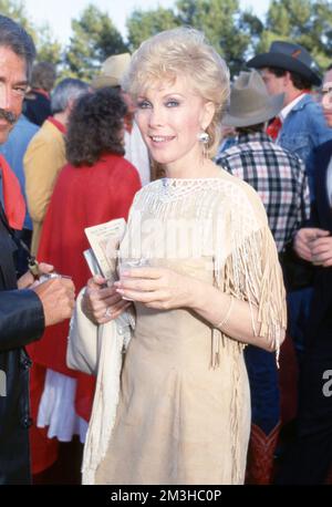 Barbara Eden Circa T's crédit: Ralph Dominguez/MediaPunch Banque D'Images