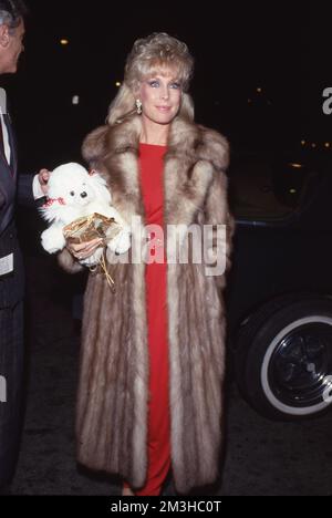 Barbara Eden Circa T's crédit: Ralph Dominguez/MediaPunch Banque D'Images