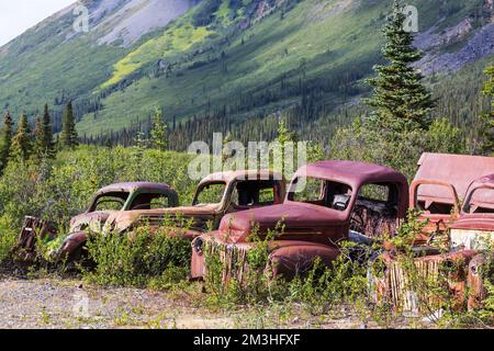 Une gamme de camions rouillés abandonnés après la guerre qui rouillent dans le désert pendant l'été dans le nord du Canada Banque D'Images