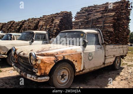 Grumes en bois triées et alignées sur le marché ouvert en Afrique, vendant du bois pour le feu et les ménages Banque D'Images