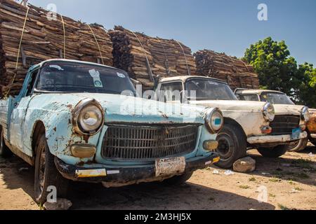 Grumes en bois triées et alignées sur le marché ouvert en Afrique, vendant du bois pour le feu et les ménages Banque D'Images