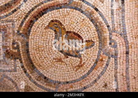 Mosaïque d'oiseaux intérieurs du château du désert de Qasr Al Hallabat en Jordanie Banque D'Images