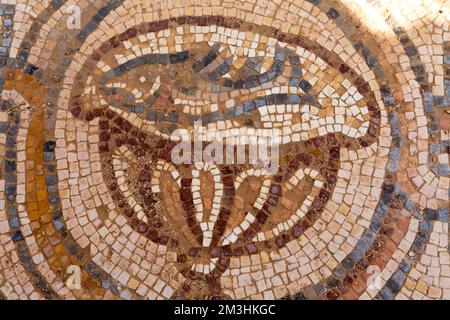 Mosaïque de poissons d'intérieur du château du désert de Qasr Al Hallabat en Jordanie Banque D'Images