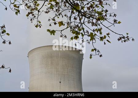 Sommet de la tour de refroidissement de la centrale nucléaire avec la vapeur qui s'en dégage. Il est entouré d'arbres avec un feuillage défoqué coloré. Banque D'Images