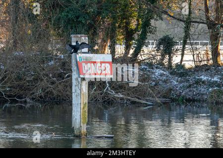 Boveney, Buckinghamshire, Royaume-Uni. 15th décembre 2022. Un cormorant sèche ses ailes tout en appuyant sur un panneau de danger sur la Tamise. Malgré le soleil, c'était une autre journée froide glaciale aujourd'hui à Boveney, dans le Buckinghamshire. Une légère poussière de neige est restée sur le sol depuis dimanche soir. Crédit : Maureen McLean/Alay Live News Banque D'Images