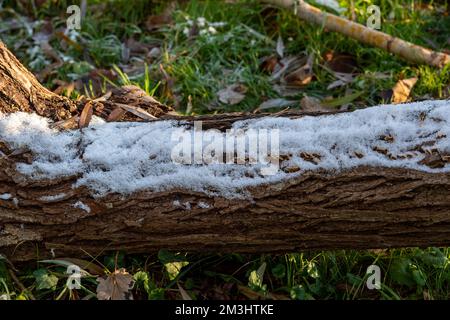 Boveney, Buckinghamshire, Royaume-Uni. 15th décembre 2022. Malgré le soleil, c'était une autre journée froide glaciale aujourd'hui à Boveney, dans le Buckinghamshire. Une légère poussière de neige est restée sur le sol depuis dimanche soir. Crédit : Maureen McLean/Alay Live News Banque D'Images