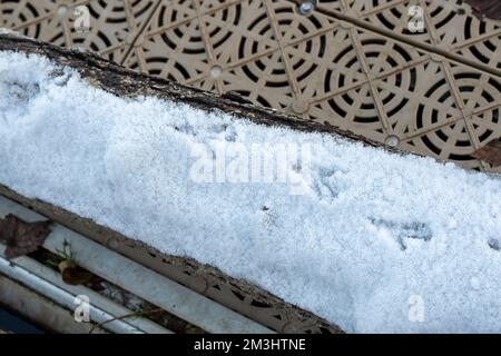 Boveney, Buckinghamshire, Royaume-Uni. 15th décembre 2022. Empreintes d'oiseaux dans la neige. Malgré le soleil, c'était une autre journée froide glaciale aujourd'hui à Boveney, dans le Buckinghamshire. Une légère poussière de neige est restée sur le sol depuis dimanche soir. Crédit : Maureen McLean/Alay Live News Banque D'Images