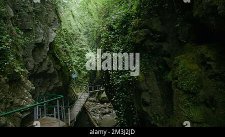 Mousse sur la roche de pierre dans la forêt. Créatif. Chemin étroit dans une gorge entre les montagnes couvertes de mousse verte dans les profondeurs de la forêt Banque D'Images