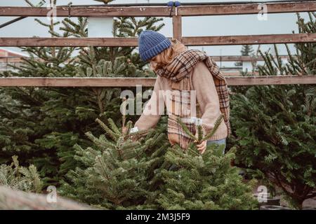 Belle fille choisit un arbre de Noël. Une belle fille dans une casquette bleue, le foulard choisit un arbre de Noël. Banque D'Images