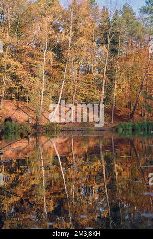 Jour d'automne ensoleillé au lac d'elmshorn. Photo de haute qualité Banque D'Images