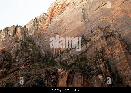 Diverses couleurs, textures, paysages et formations rocheuses parmi les paysages du parc national de Zion dans le sud-ouest américain de l'Utah. Banque D'Images