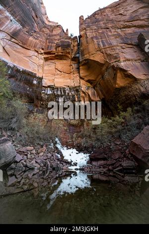 Diverses couleurs, textures, paysages et formations rocheuses parmi les paysages du parc national de Zion dans le sud-ouest américain de l'Utah. Banque D'Images