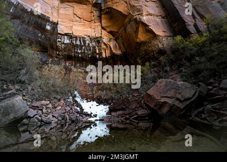 Diverses couleurs, textures, paysages et formations rocheuses parmi les paysages du parc national de Zion dans le sud-ouest américain de l'Utah. Banque D'Images