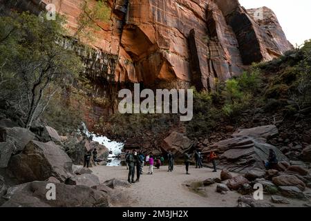 Diverses couleurs, textures, paysages et formations rocheuses parmi les paysages du parc national de Zion dans le sud-ouest américain de l'Utah. Banque D'Images