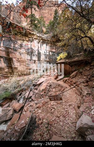 Diverses couleurs, textures, paysages et formations rocheuses parmi les paysages du parc national de Zion dans le sud-ouest américain de l'Utah. Banque D'Images