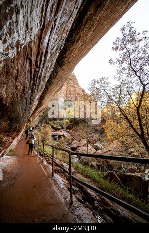 Diverses couleurs, textures, paysages et formations rocheuses parmi les paysages du parc national de Zion dans le sud-ouest américain de l'Utah. Banque D'Images