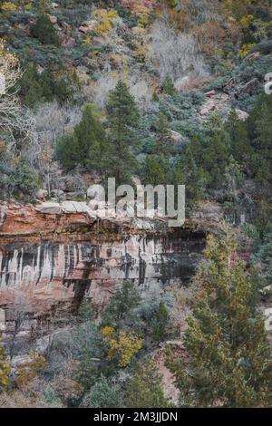 Diverses couleurs, textures, paysages et formations rocheuses parmi les paysages du parc national de Zion dans le sud-ouest américain de l'Utah. Banque D'Images