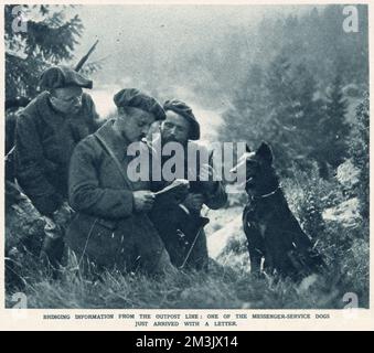 Une photographie de trois soldats français, qui ne semblent pas porter d'uniforme officiel, lisant un message qui a été livré dans le collier d'un chien. Banque D'Images