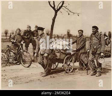 Trois Allemands, survivants d'un camp de concentration, qui se rentrent chez eux après 10 ans en captivité nazie. Ces hommes ont peut-être été des prisonniers politiques du régime nazi. Banque D'Images