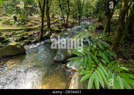 Selangor comme destination de loisirs tropicale. Banque D'Images