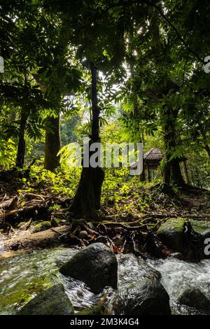 Selangor comme destination de loisirs tropicale. Banque D'Images